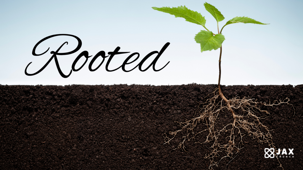 ROOTED: Depth Over Display