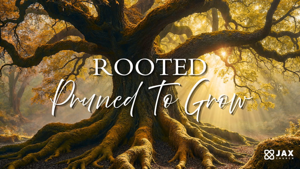 Rooted: Pruned To Grow